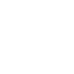 Corporate Restructuring