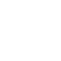 Flight