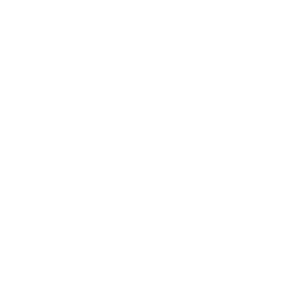 Local Transport