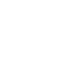 Stock Market